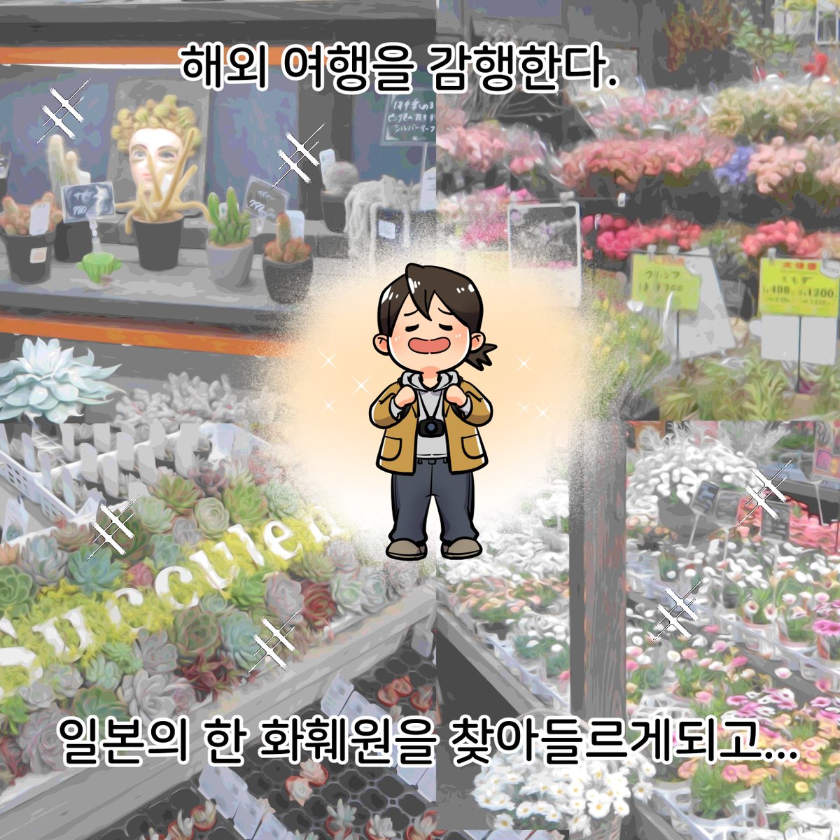 관세청 tweet media