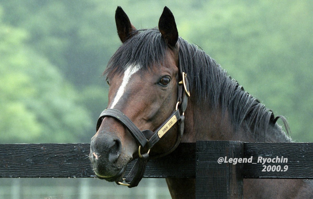 Ryo-chin tweet media