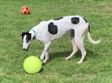 Terry Punter tweet media