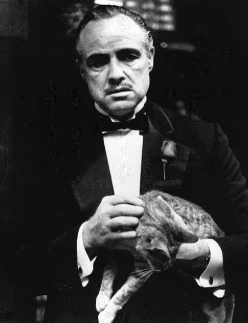 Mehmet Kuru tweet media