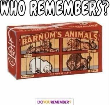 Lily Rosewood tweet media