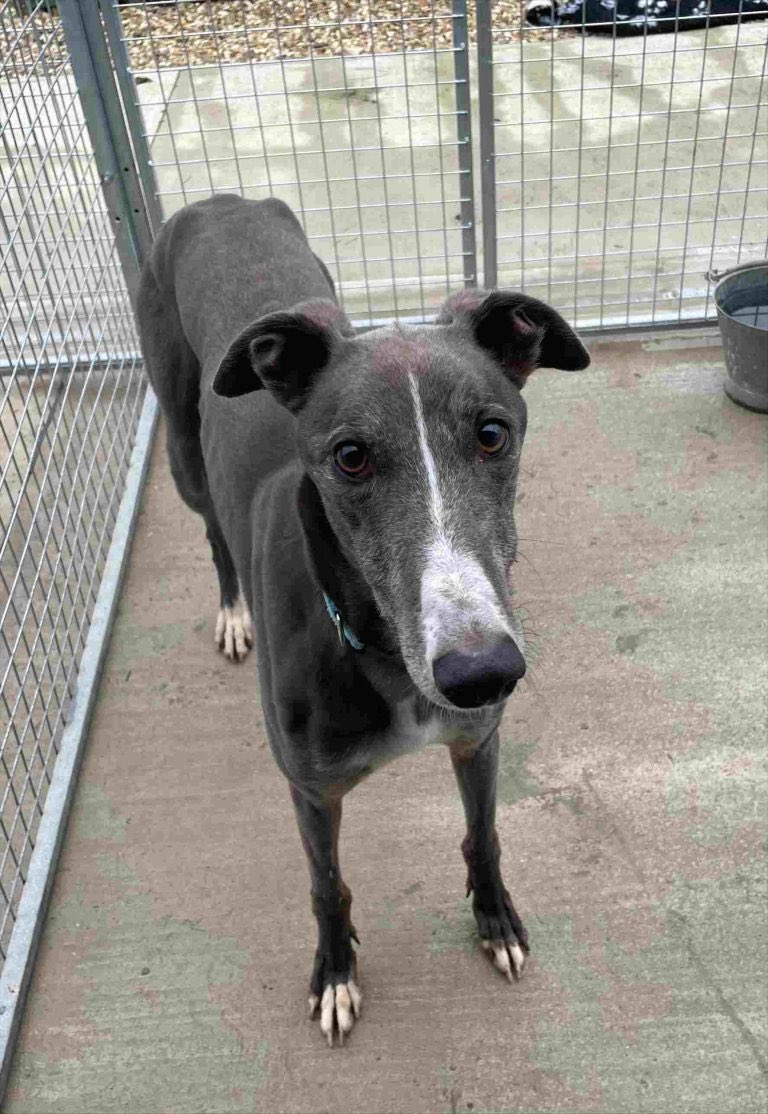 Terry Punter tweet media