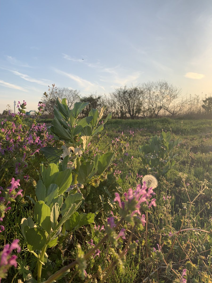 🍀green orbit🌈 tweet media