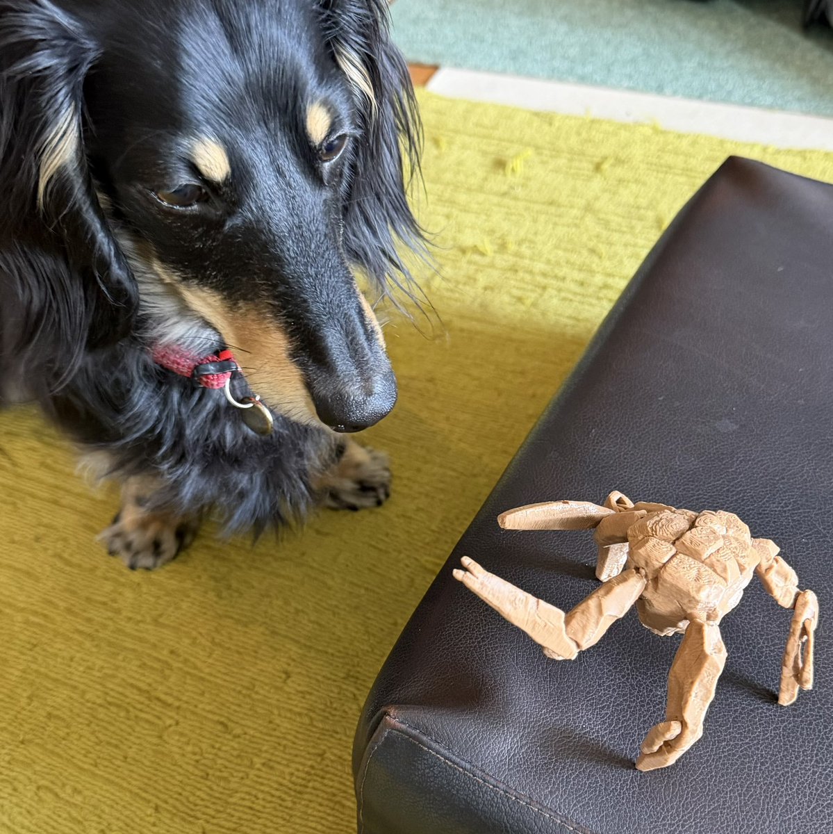 HailMaryLogs's tweet photo. People all over the world are already 3D printing the new Rocky model released by the Project Hail Mary team. If you’ve got a printer, you can make your own. If not, a local 3D printing service can do it for you. https://t.co/Oyhf0MDKQ1