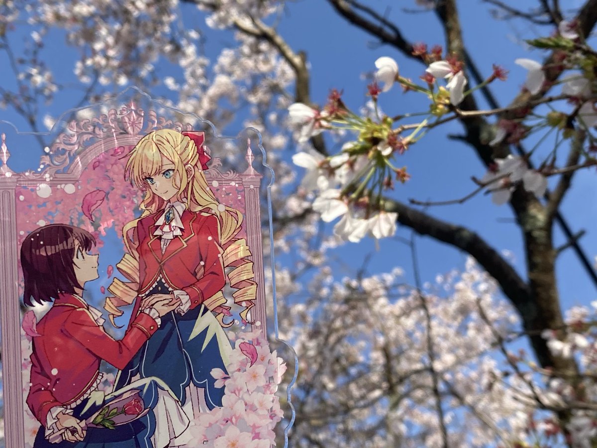 白い猫 tweet media