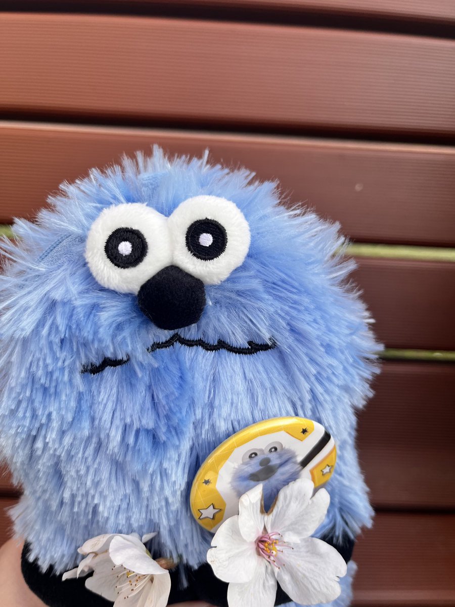 スンの日常🥐🥖 tweet media