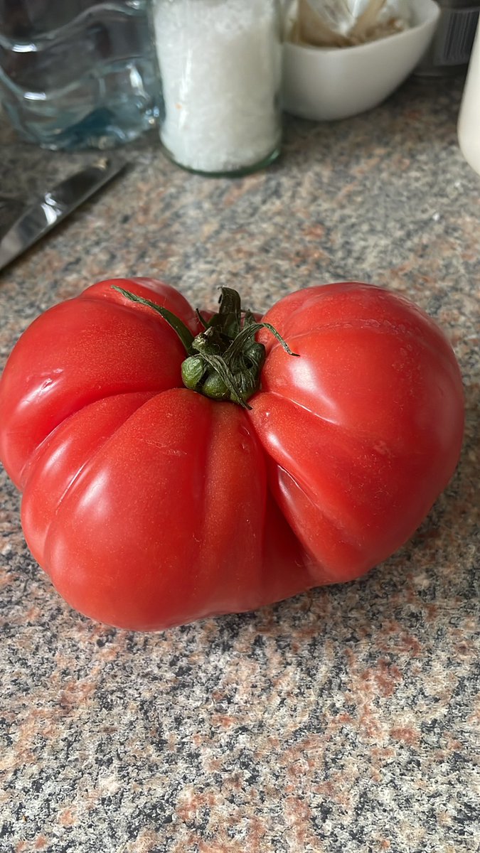 DmitrYurievich tweet media