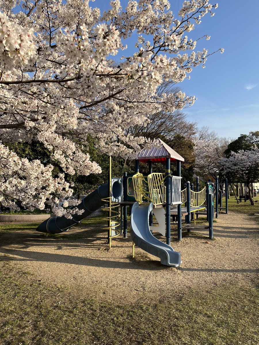 Ryan†/らやん tweet media