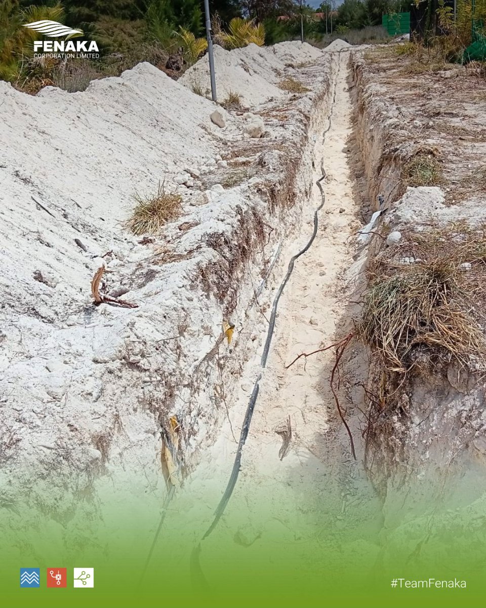 Fenaka Corporation Ltd tweet media