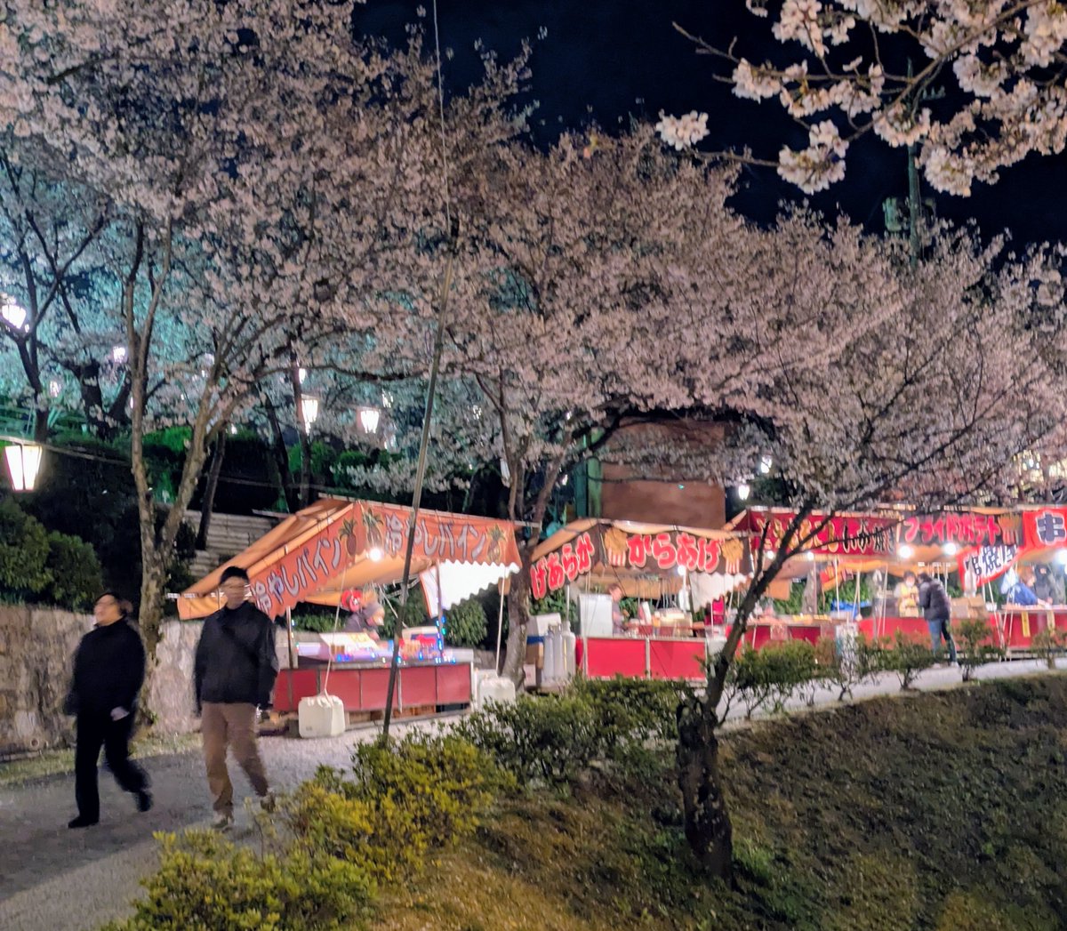 🌸尾道観光協会[おのなび]（広島県） tweet media