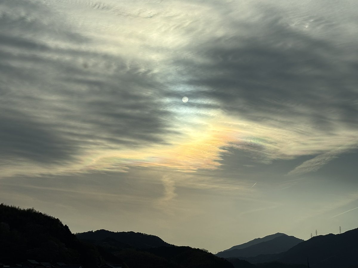 しののめ🌙東雲 tweet media