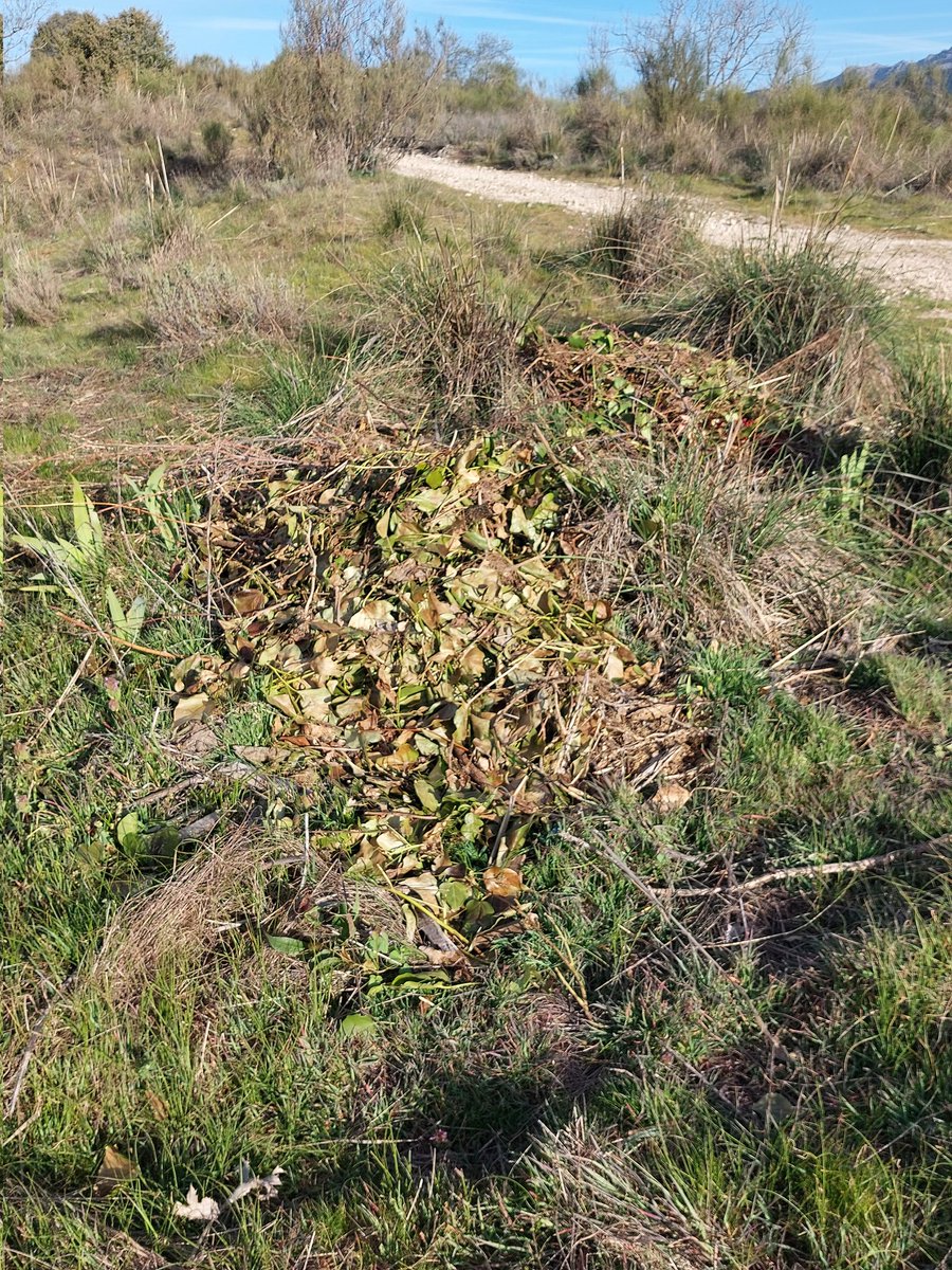 Salvemos La Dehesa tweet media