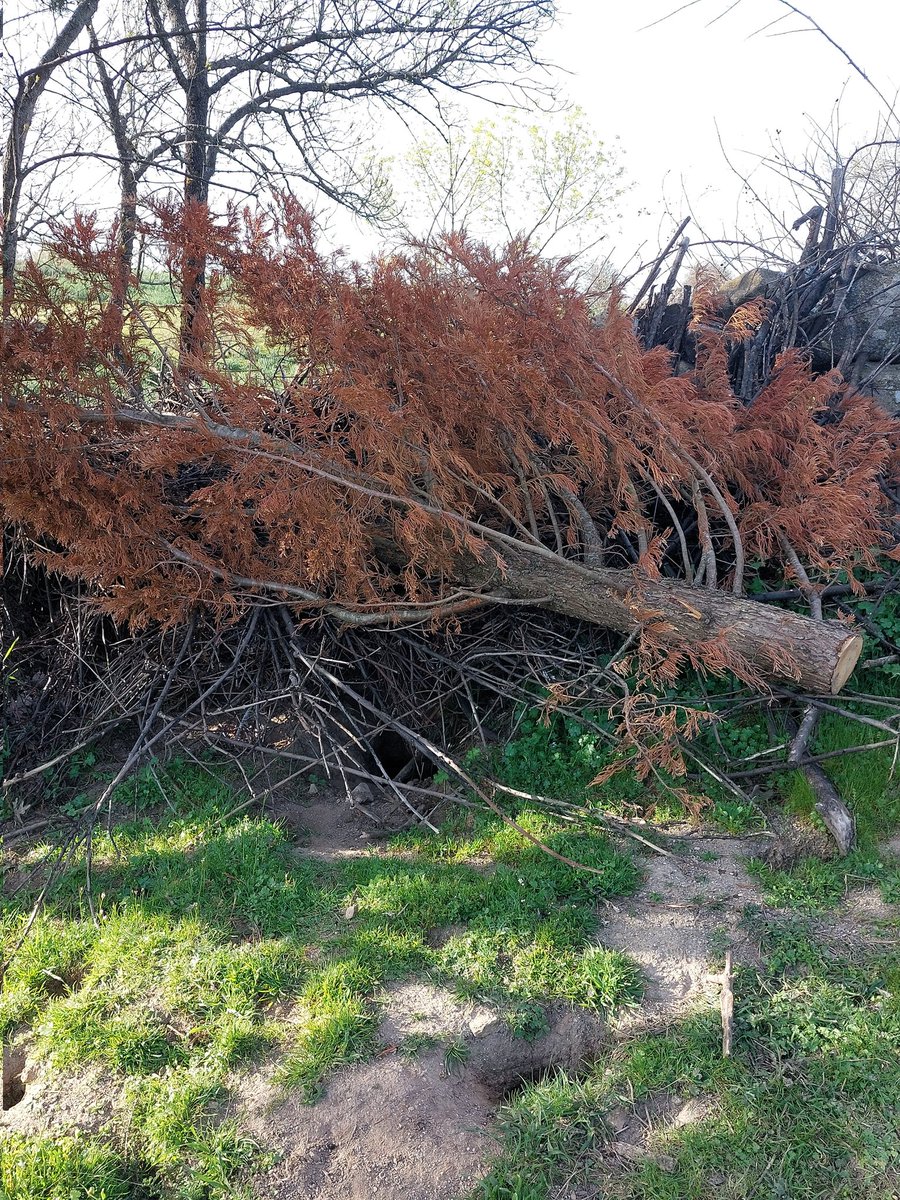 Salvemos La Dehesa tweet media