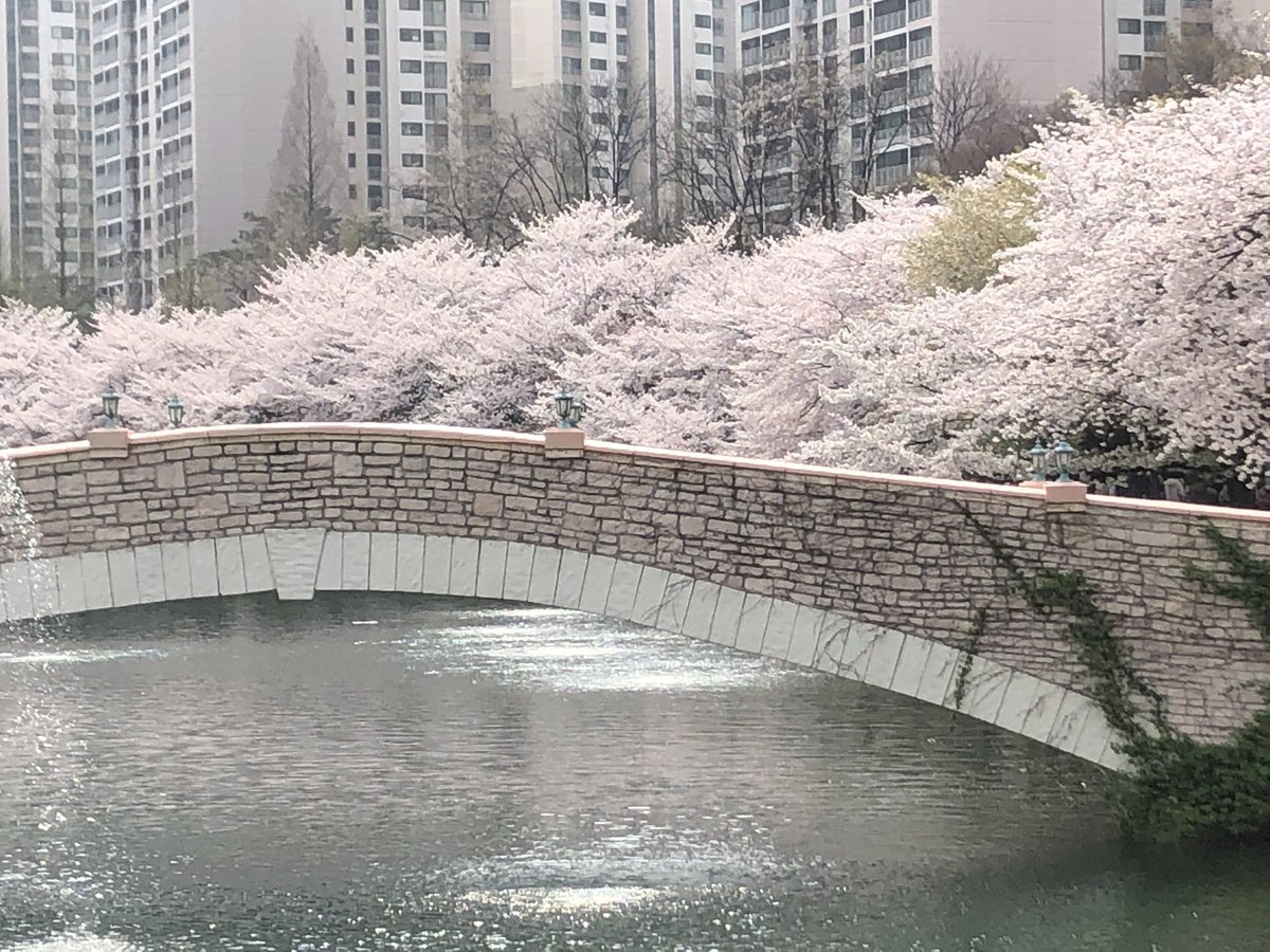 ⸝⸝ ᷇ ㅇ ᷆ ⸝⸝ tweet media