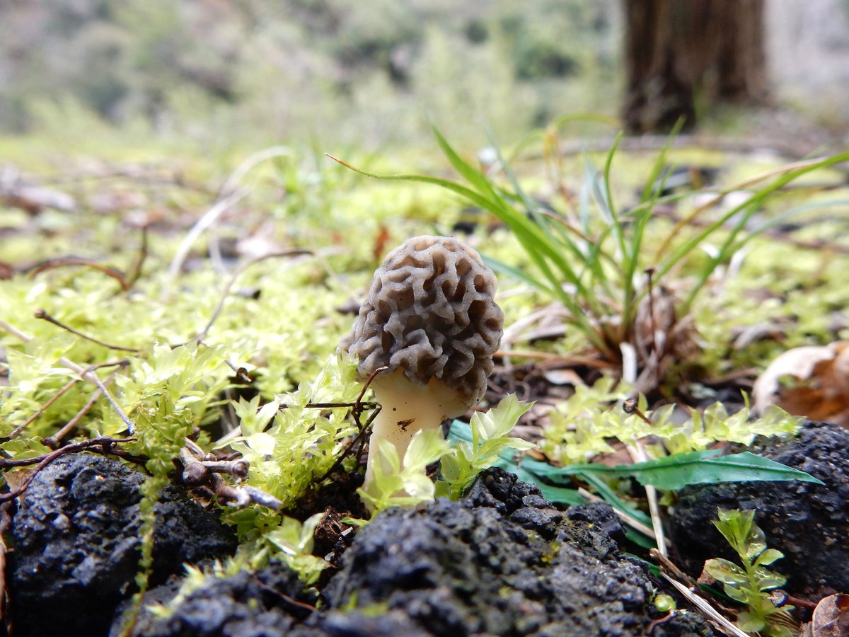 Shidora- tweet media