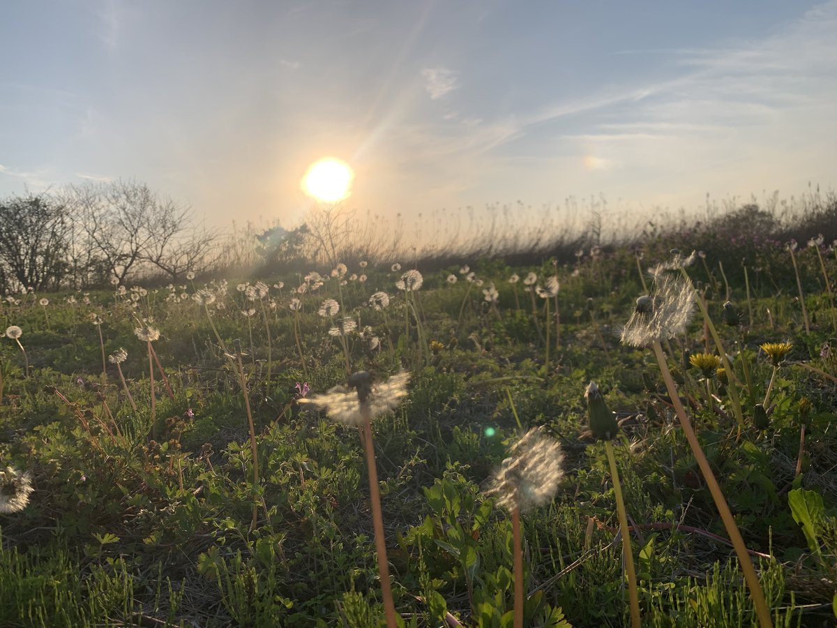 🍀green orbit🌈 tweet media