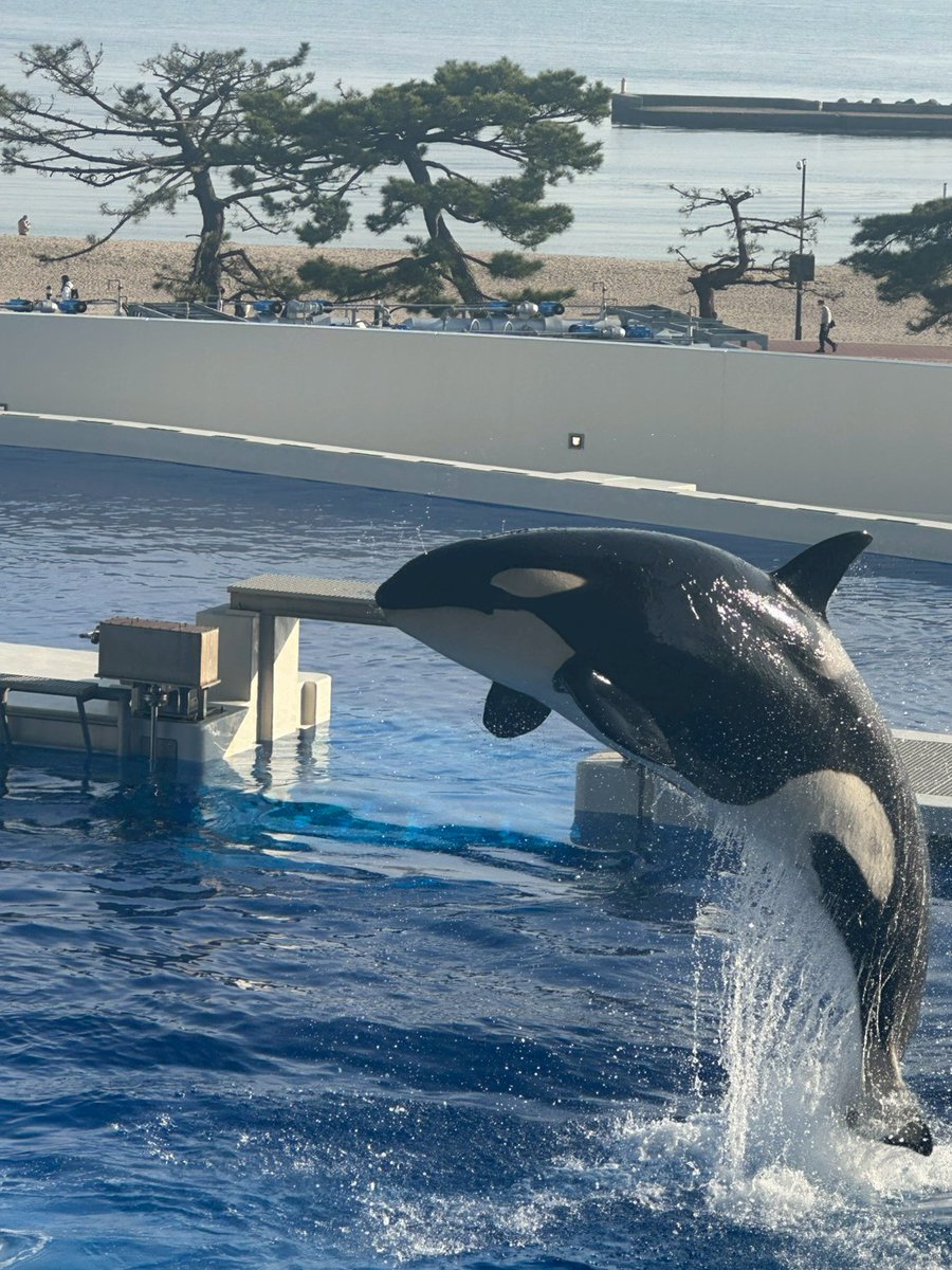 707_nanamin tweet media
