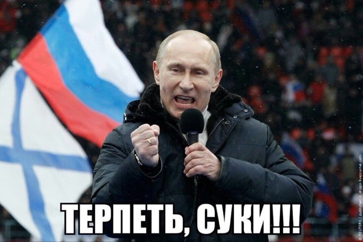 Оля Левина 🇮🇱🇺🇸🇷🇺 tweet media