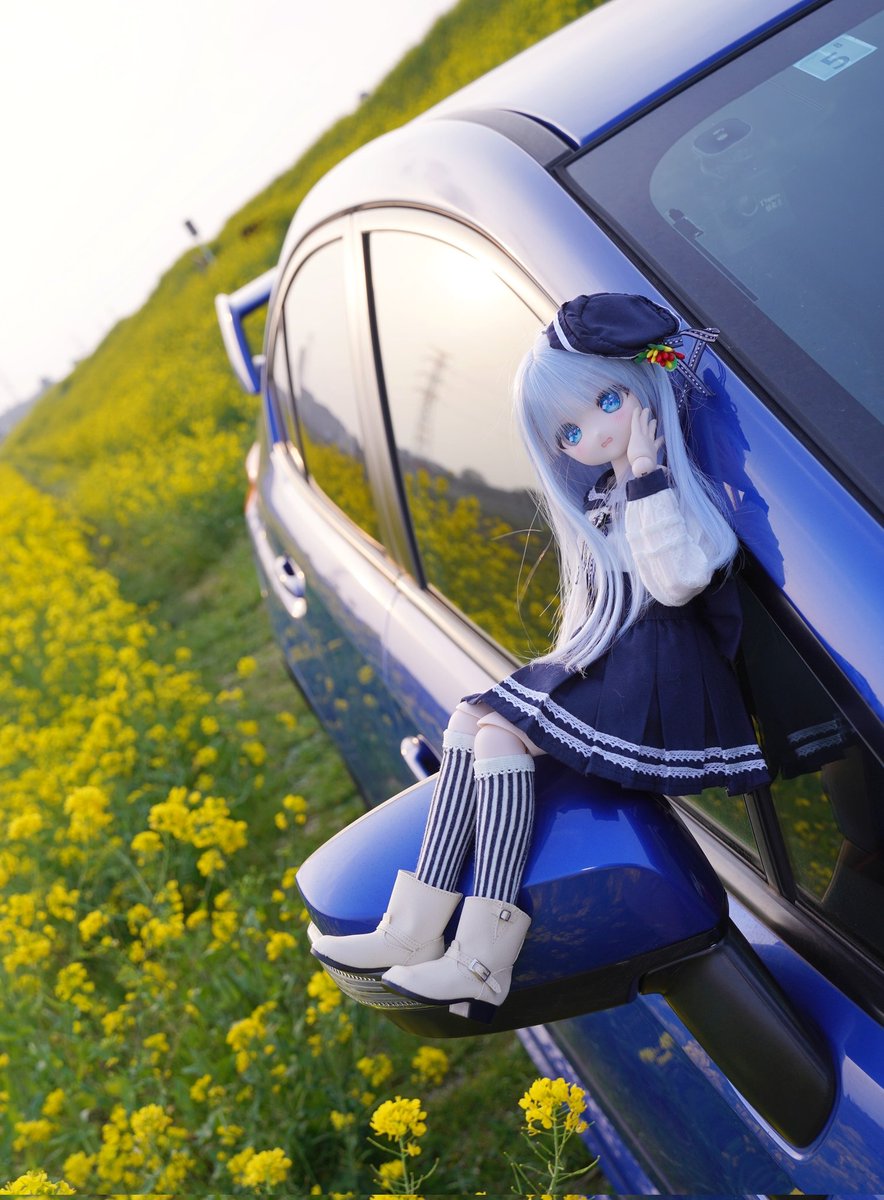 めろか tweet media