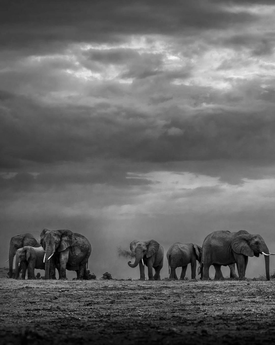 Gogo.Sifiso - the seer tweet media