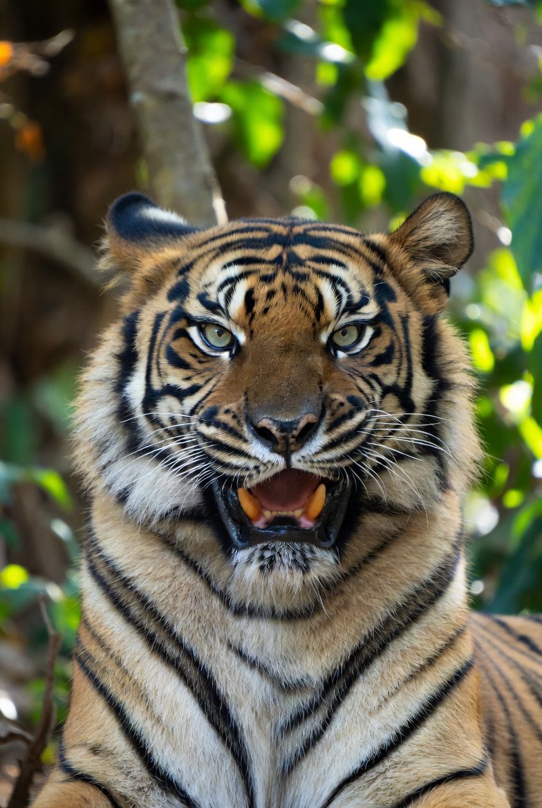 Lackys ⚡ tweet media