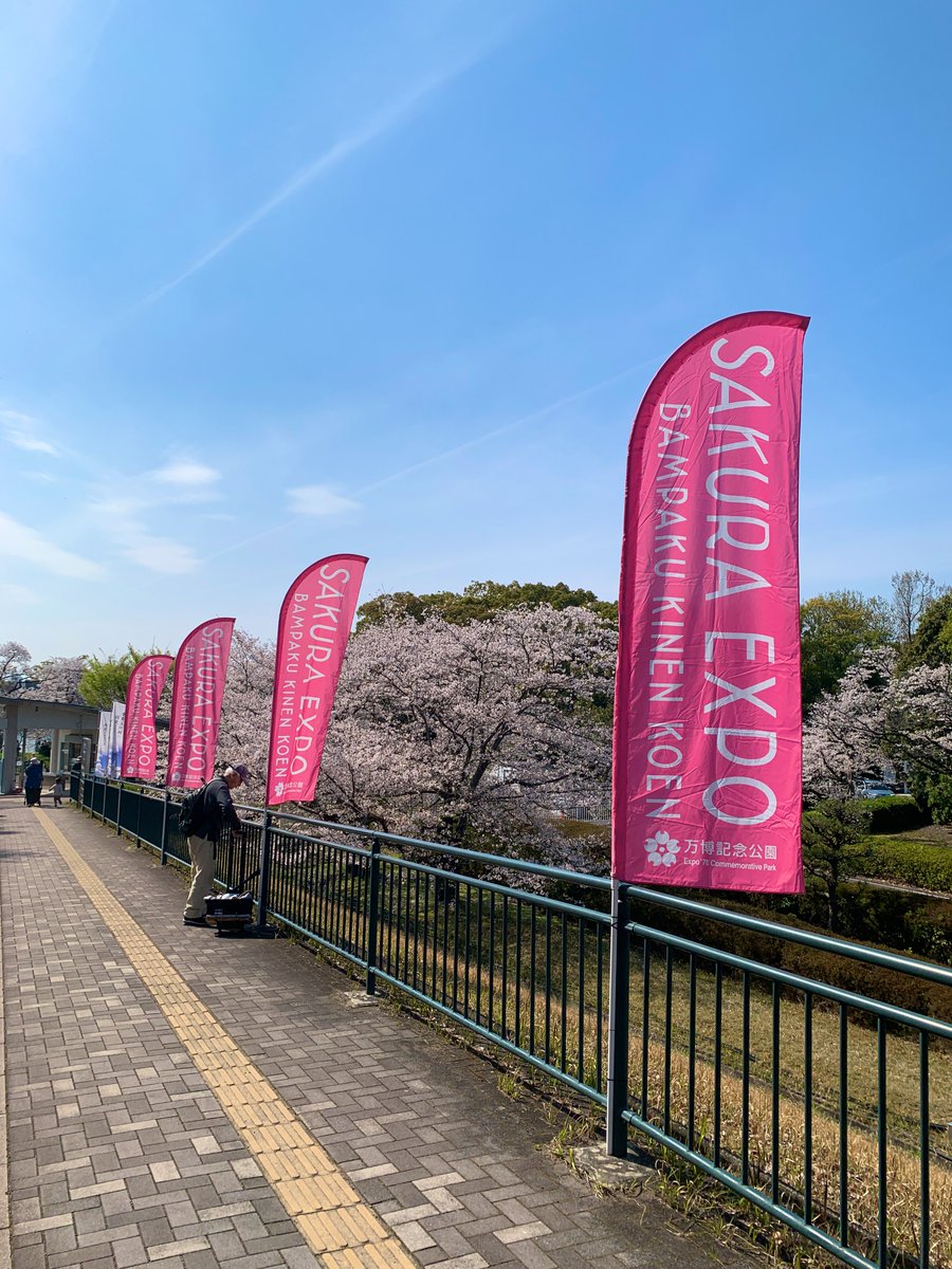 ストレンジポイント tweet media