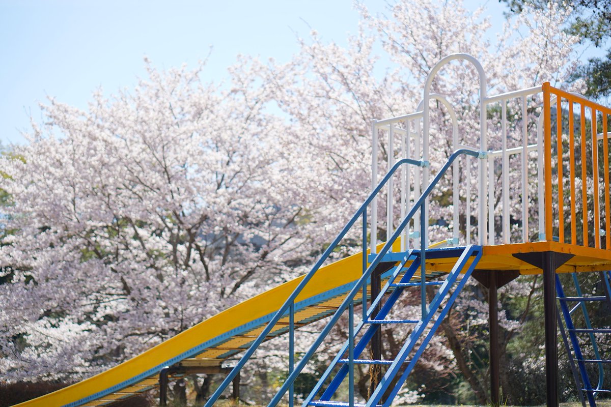 ジョージ参謀 tweet media