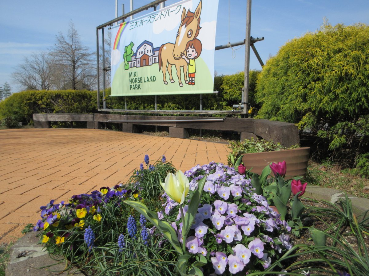 三木ホースランドパーク tweet media