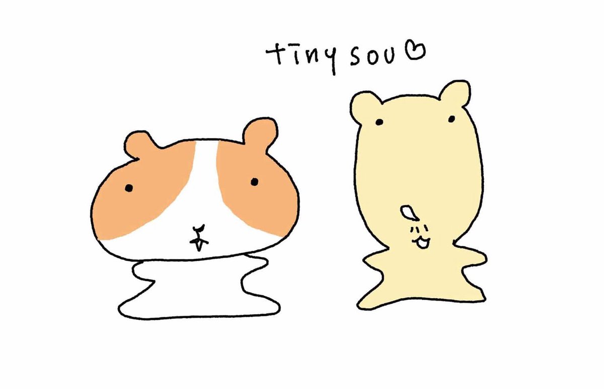 수수•서일코 A-116! tweet media