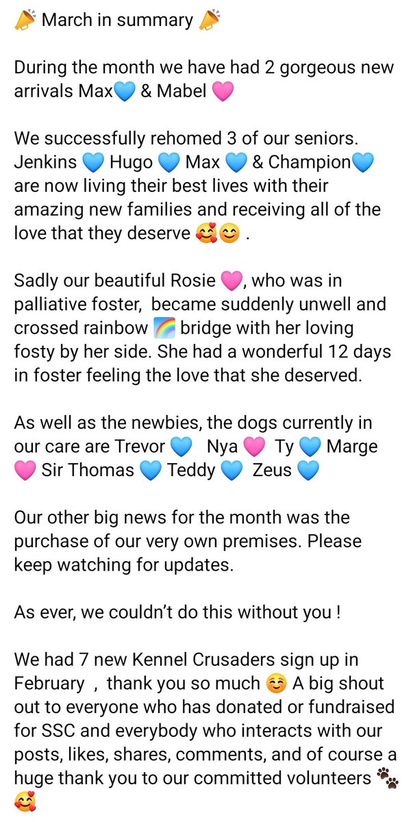 Senior Staffy Club Dog Rescue tweet media