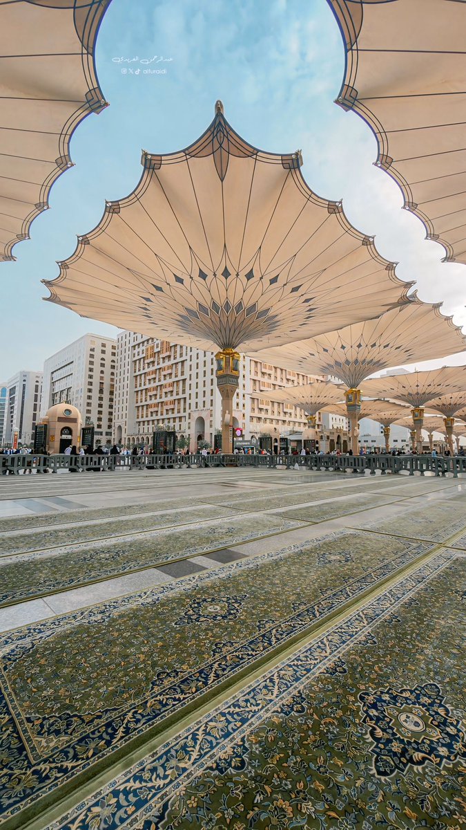 عبدالرحمن الفريدي tweet media