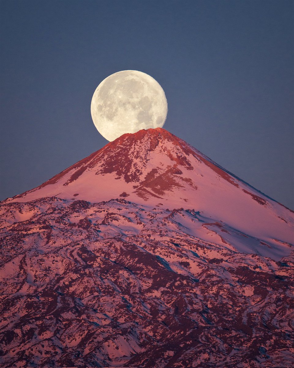 Efrén Yanes tweet media