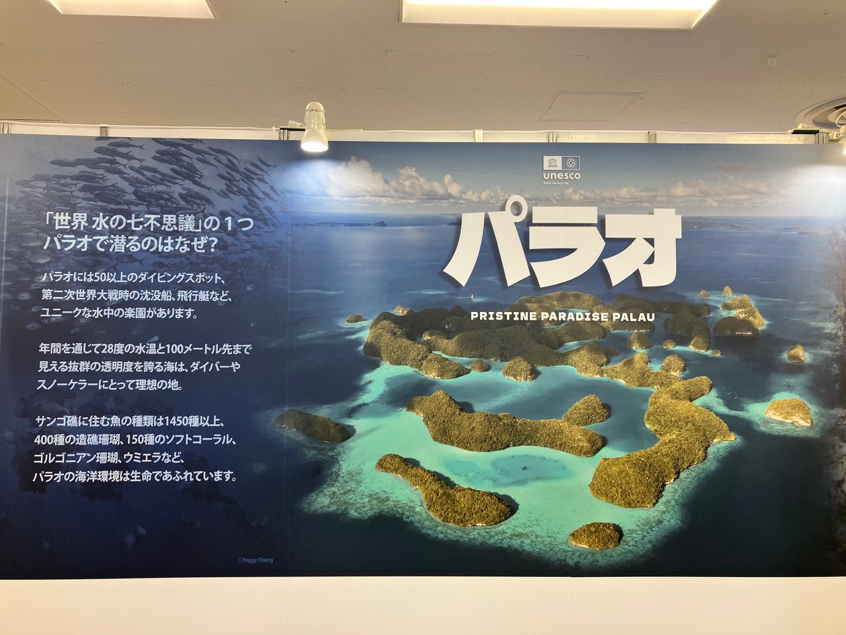 nicedaytour's tweet photo. 本日より3日間、池袋サンシャインシティにて「マリンダイビングフェア2026」開催！　海好きの皆さん、次の訪問先にパラオはいかがですか～🏝️　パラオブースでお待ちしてます♪ https://t.co/0YWwwtAKq6