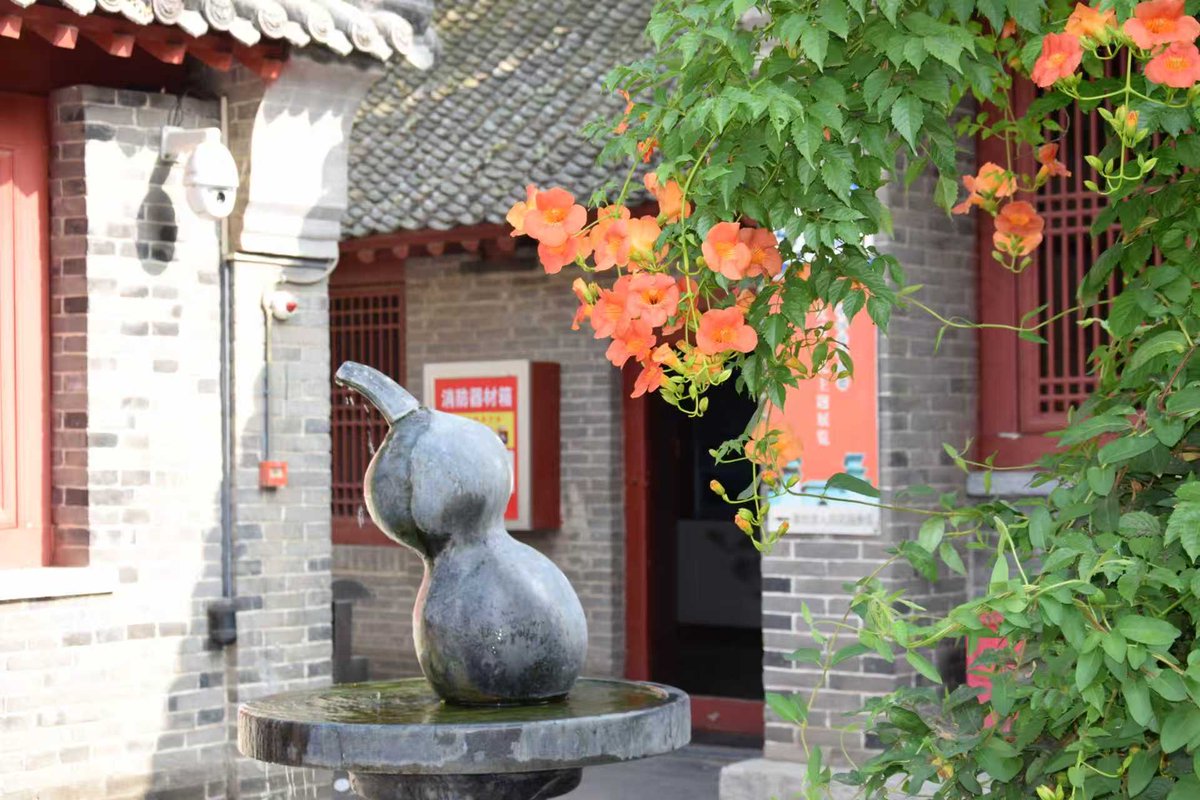 bob 尧彤（互fo） tweet media