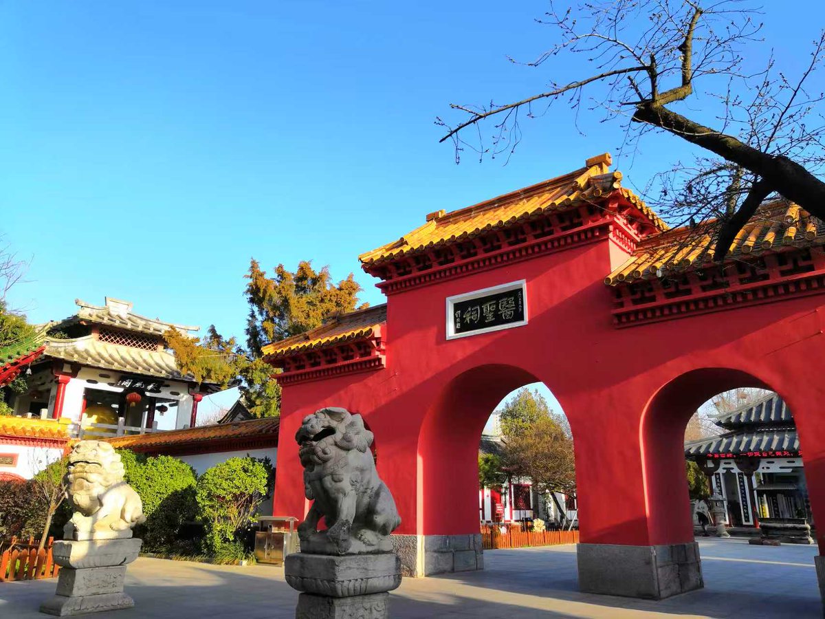 bob 尧彤（互fo） tweet media