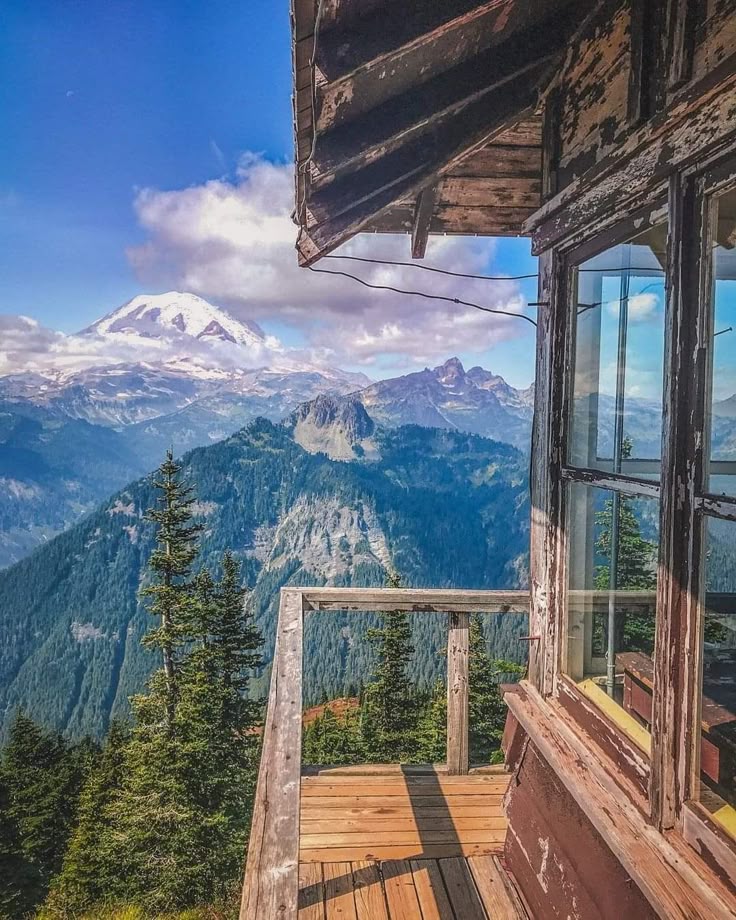 Walking Warrior tweet media