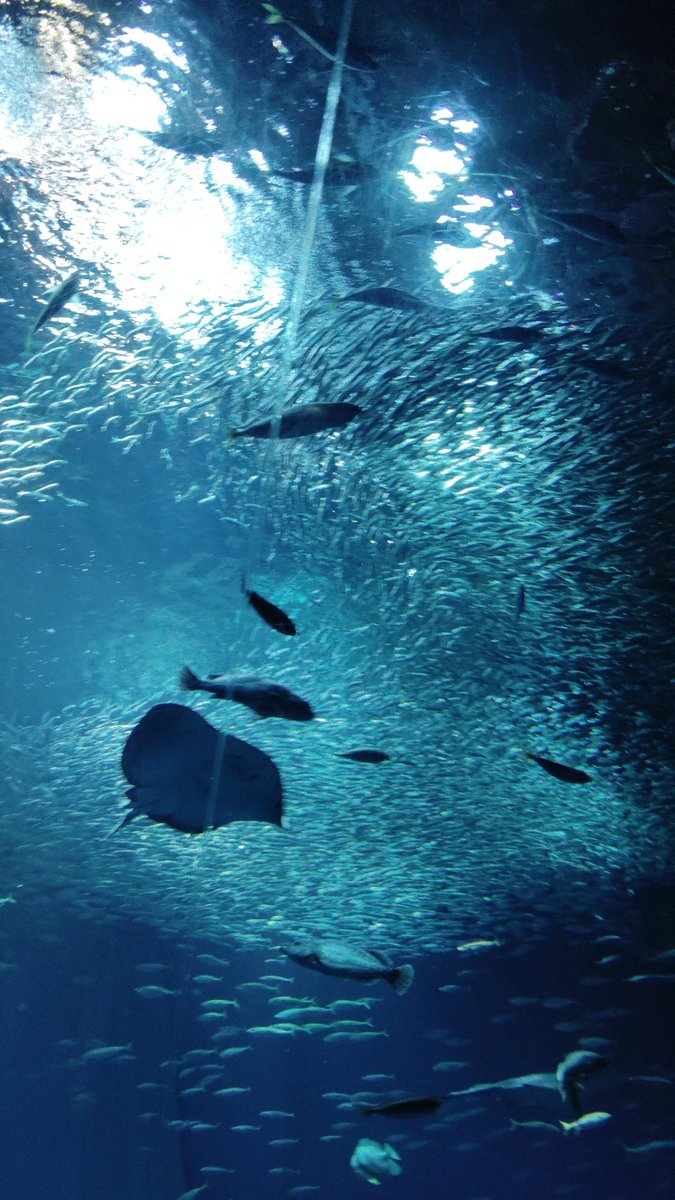 Choco🍫 tweet media