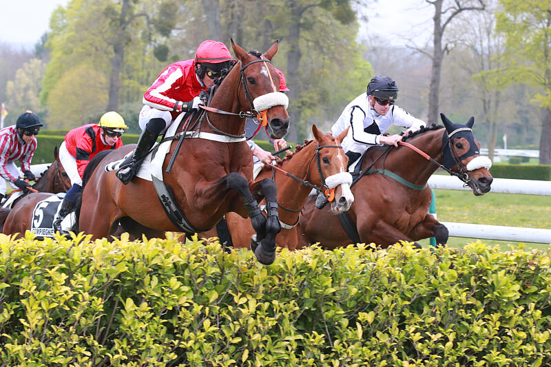 GabrielLeenders's tweet image. 🔥Des bonnes rentrées de nos bons "vieux" KADOR DE CIERGUES 🥉 et PICKLAND4⃣ dans les Groupes de Auteuil et Compiègne ! 

Et notre GARDONS LE SOURIRE 🥉nous a de nouveau ravi par sa vaillance. Parfait ! 

#onlacherien