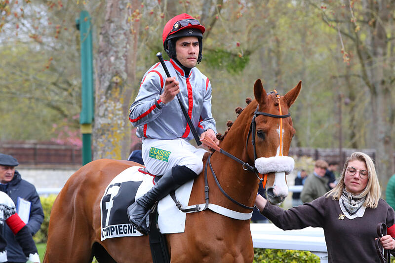 GabrielLeenders's tweet image. 🔥Des bonnes rentrées de nos bons "vieux" KADOR DE CIERGUES 🥉 et PICKLAND4⃣ dans les Groupes de Auteuil et Compiègne ! 

Et notre GARDONS LE SOURIRE 🥉nous a de nouveau ravi par sa vaillance. Parfait ! 

#onlacherien