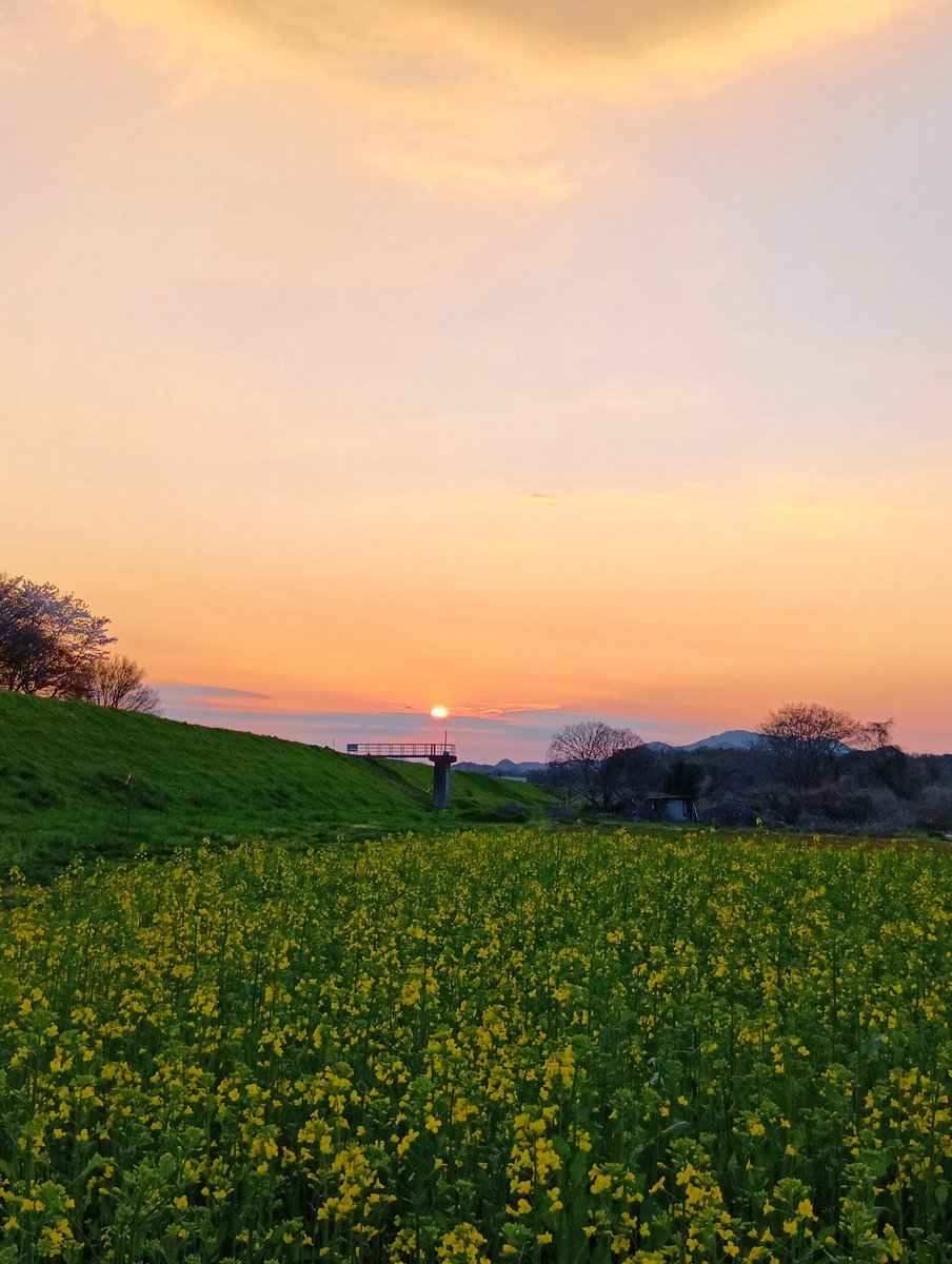 KT327/京都北部 tweet media