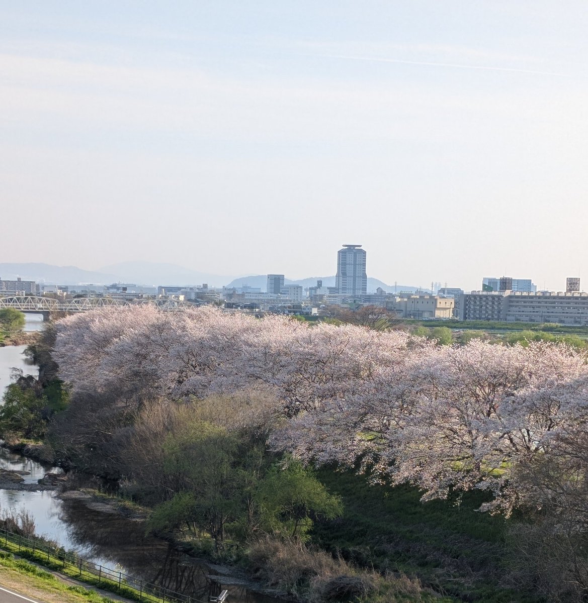 あーSAN。 tweet media