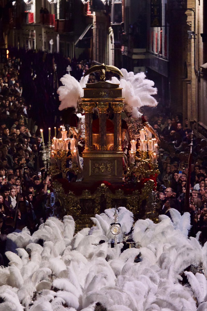 elllamadorcsr tweet media