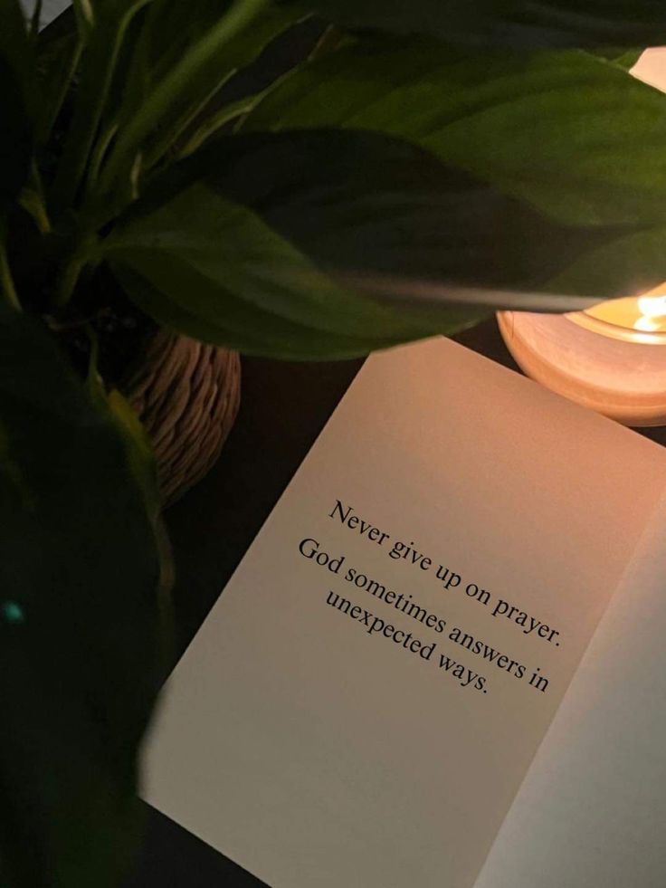 POSITIVITY (@positivitysaid) on Twitter photo 