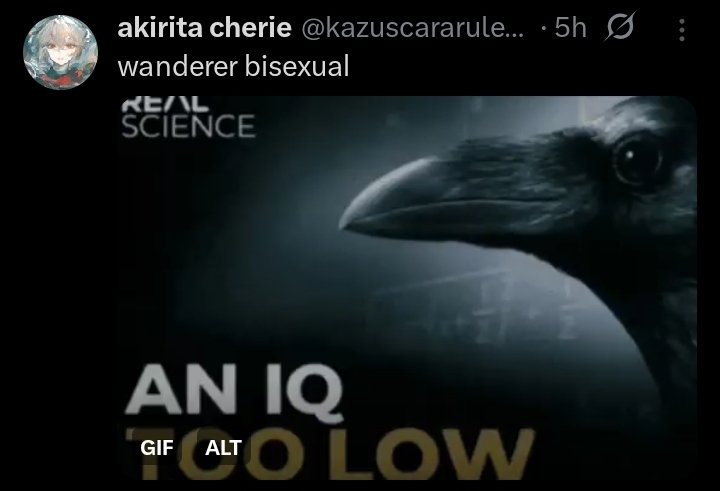 「x_Phoenix_x」 tweet media