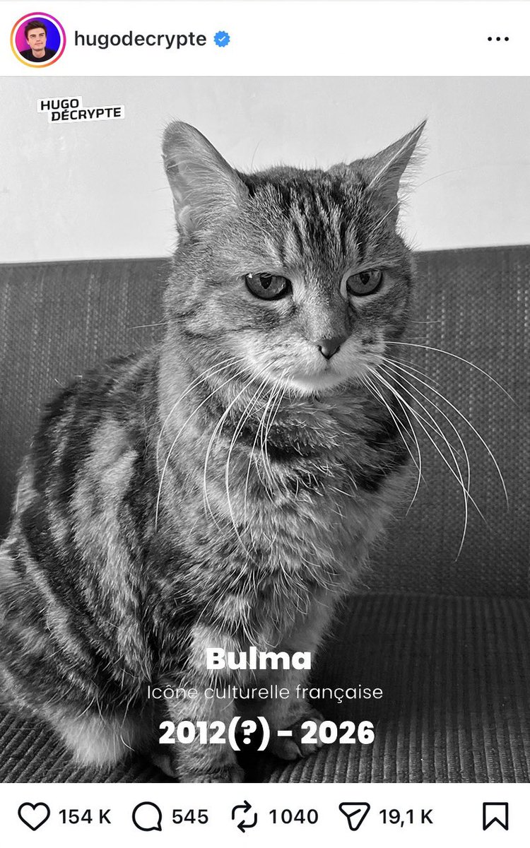 Adam Bros tweet media