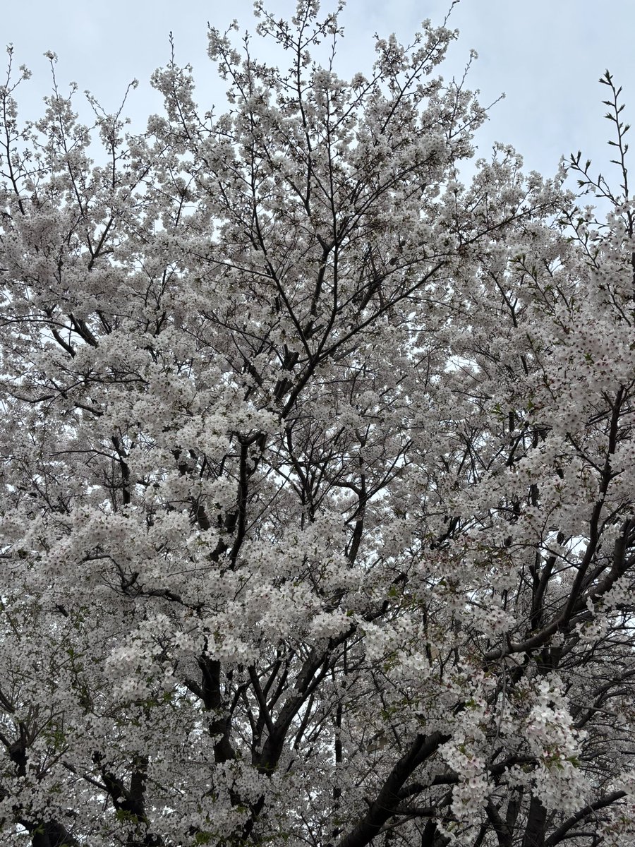 Ken3963842 tweet media