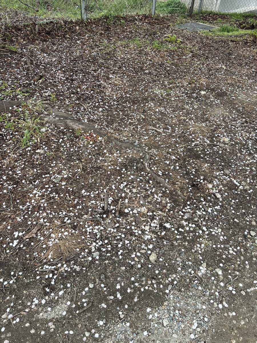 Ken3963842 tweet media