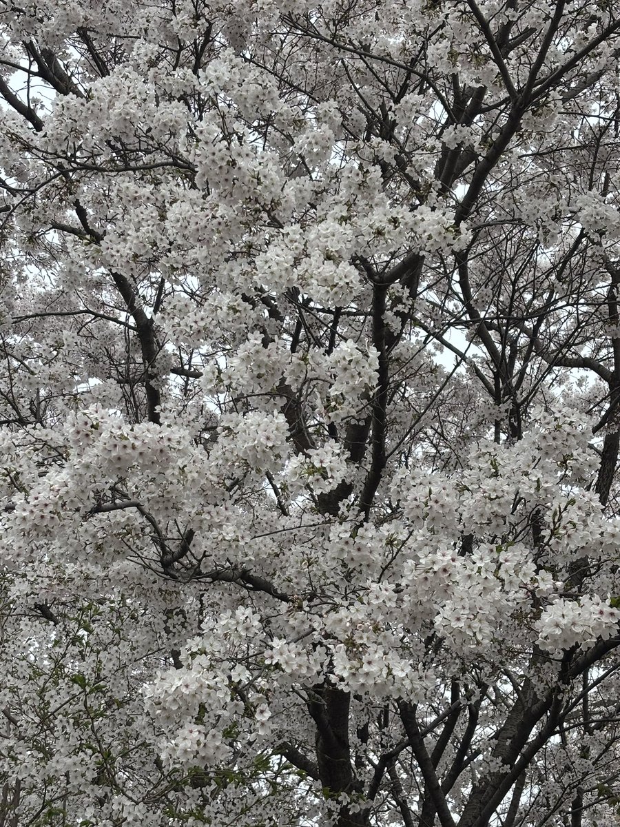 Ken3963842 tweet media