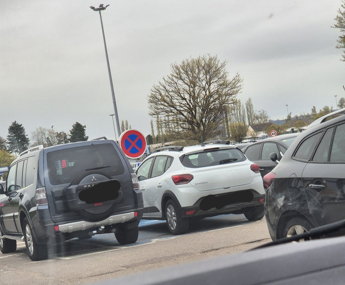 Lulloly 🐳🚜 tweet media