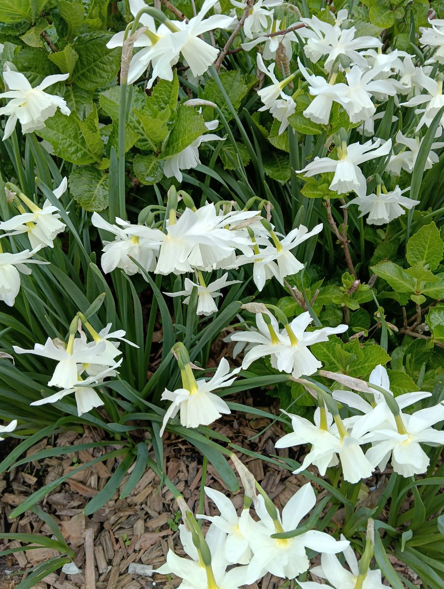 ꑭ ℜ𝔬𝔪𝔞𝔫 𝔖𝔱𝔯𝔦𝔤𝔲𝔫𝔨𝔬𝔳🇺🇸🇪🇺🇺🇦 tweet media